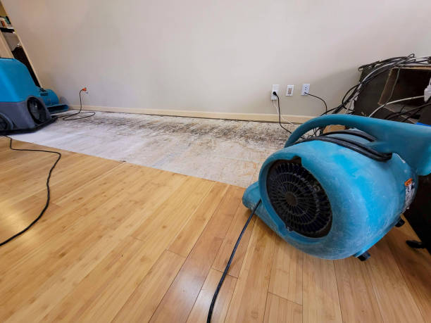 Professional Water Damage Repair technician working in Magnolia Springs, AL